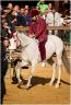 Palio Straordinario: la gallery della prima e della seconda prova